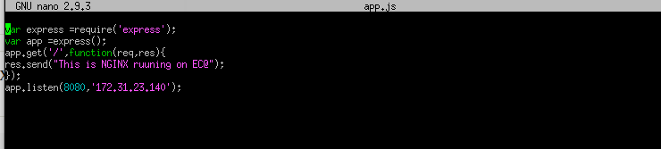 How To Create AWS EC2 Instance And Host NodeJS Application With Nginx